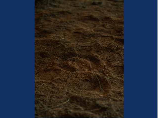 Slide background