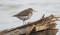 Sterling_Nature_Center_Spring_Beach_Clean_up.jpg