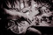 larry.jpg