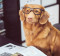 Find a Four-Legged Friend at OPL