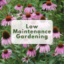 Low-Maintenance Gardening Class (Lysander)
