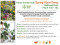 Spring Plant Swap by the Fulton Garden Club
