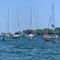 Boat_Parade.jpg
