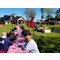 Harvest Fest at Colloca Winery