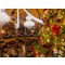 Christmas Market at Colloca Estate Winery
