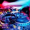 DJ_white_owl.jpg