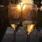 Lions_Wine_Beer.jpg