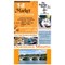 Minetto Fall Market & Open House