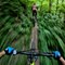 Murdocks_Great_Bear_Mountain_Bike_Ride.jpg
