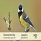 National_Bird_Day.jpg