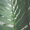 Photo_by_Ismael_Reis_on_Unsplash_.jpg