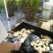 Pierogie_Sampling.jpg