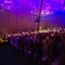 Torchlight2017.jpg