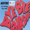 byb_bye_birdie.jpg