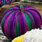 Port City Crafters at OPL