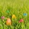 egg_hunt.jpg