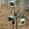 Feeder Frenzy (Lysander)