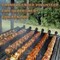 gcvfd_bbq.jpg
