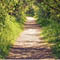National Trails Day Event (Volney)