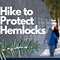 Guided Hike to Protect Hemlock Trees (Richland; Registration Required)