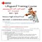 lifeguard_training_course_red_cross.jpg