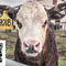 Agriculture Workshop Series (Part 1 of 2; Registration Required)