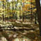 Workshop: Managing Your Farm's Woodlot (Sterling)