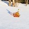 maple_syrup_story_hour.jpg