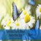 national_learn_about_butterflies_day.jpg