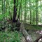 nature_club.jpg