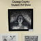 Oswego County Student Art Show at Salmon River Fine Arts Center