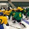oswego_lakers.jpg