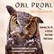 owlprowl.jpg