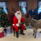 Meet Santa and Fiona the Donkey (Parish)