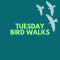 Tuesday Bird Walks (Lysander)