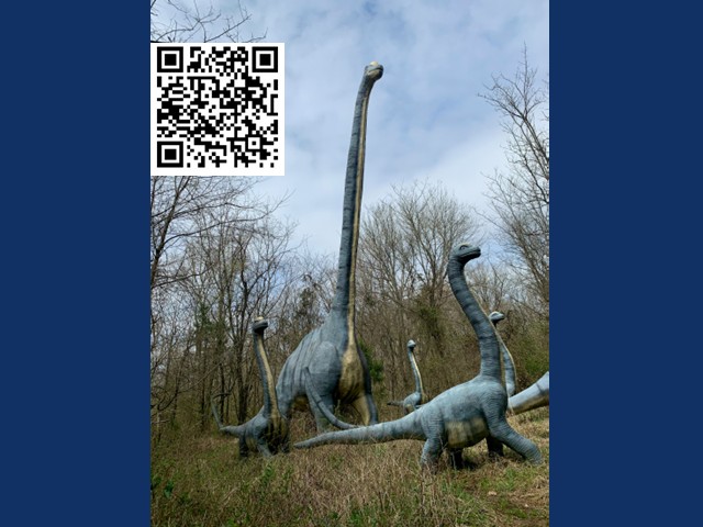 Oswego County 4-H Invites Youth to Explore the Prehistoric Planet