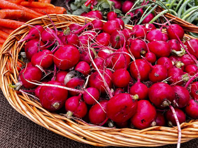 Radishes at the Pulaski Farmers Market in 2024