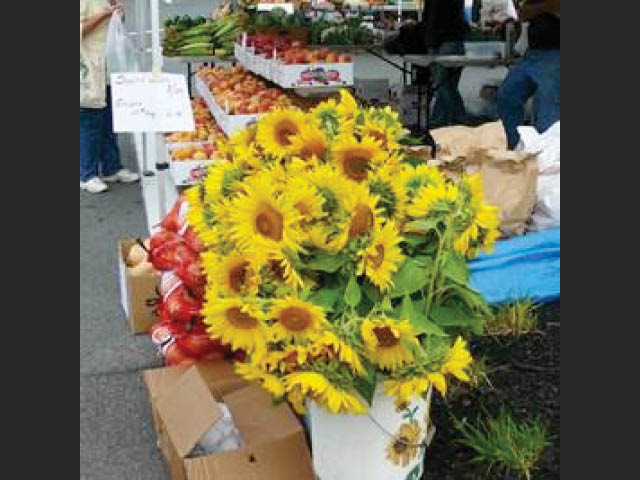 farmers mkt week cce oswego 7.26.2025