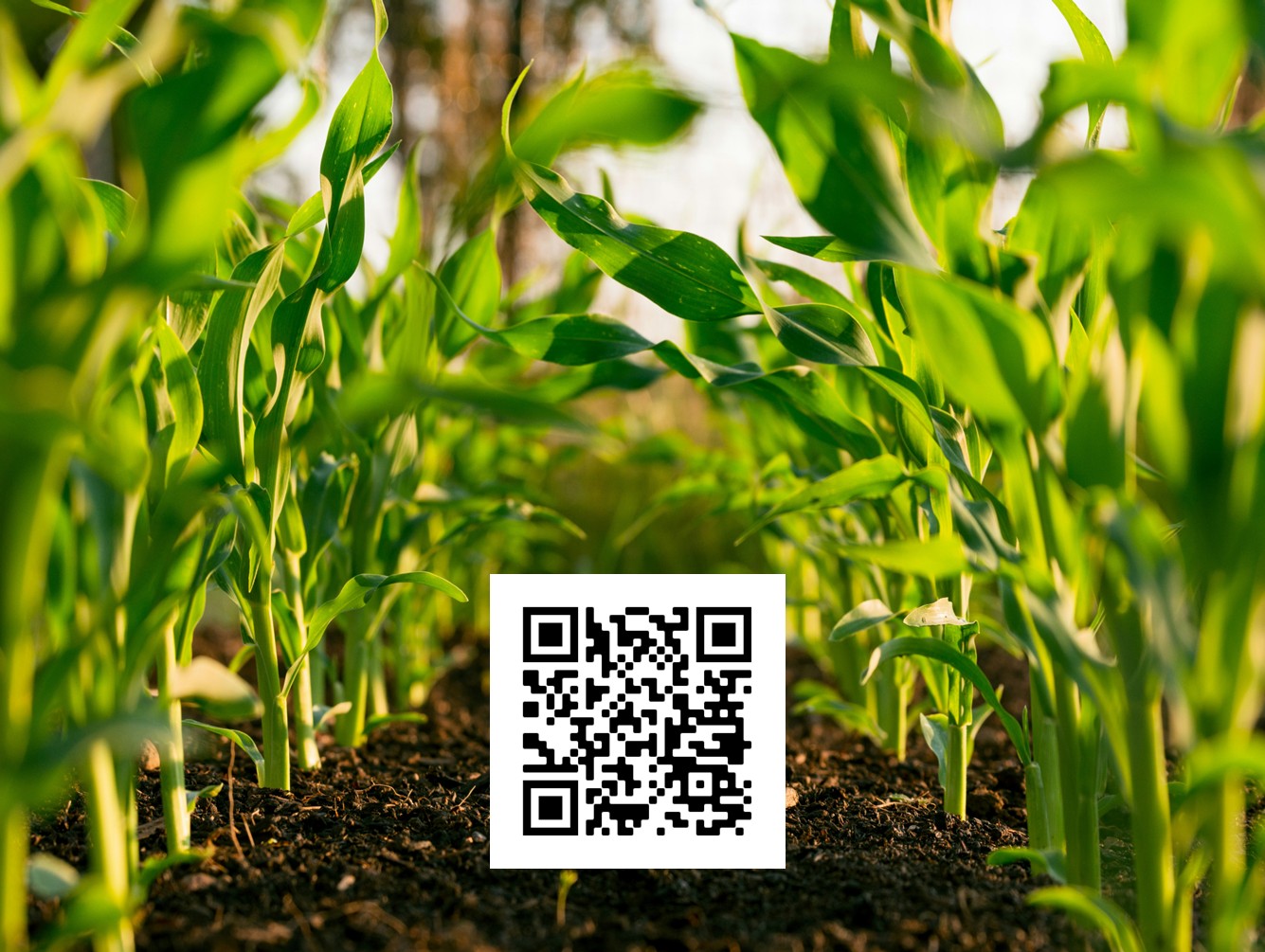 Fast Track to Farming Series Registration Still Open