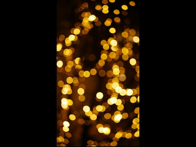 Get a Free Ride to ‘Lights on the Lake’ Dec. 20