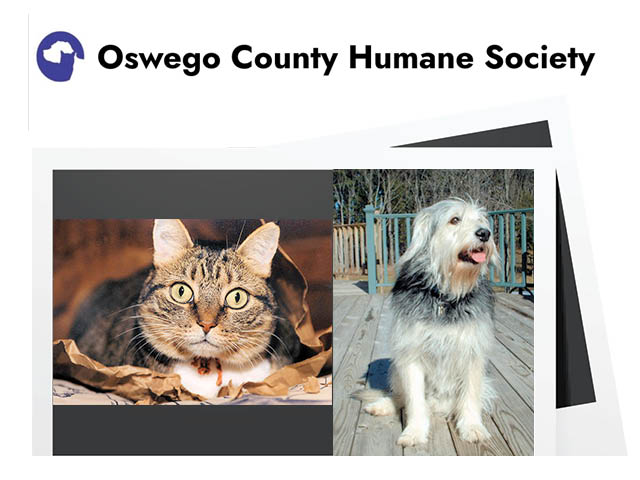Oswego County Humane Society logo with a cat and a dog pictured below it