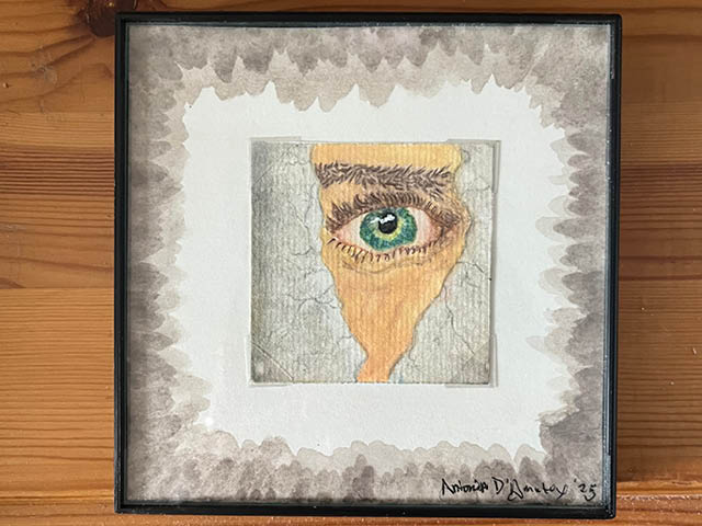 antonia damato show art association aao 3.23.2026