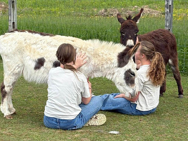 Brayhope Farm Announces Full Funding and June Launch of Disability Accessibility Project