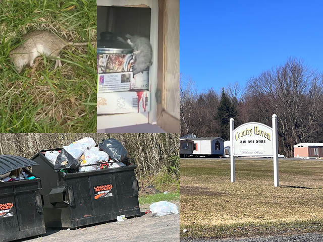 Top left: two photos of dead rats, one outside and one inside on a pantry shelf; bottom left: overflowing dumpsters. At right: a photo of the entrance to Country Haven Mobile Home Park