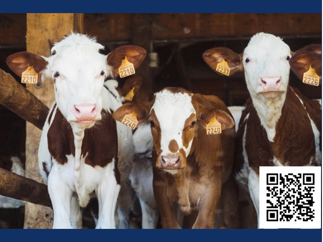 Cornell Cooperative Extension of Oswego County Presents Third Session of Farm Business Development & Management Workshop Series