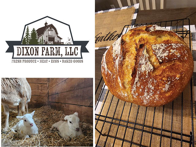 Dixon Farm LLC logo next to photos of sourdough bread and two new lambs in a stall next to their mother