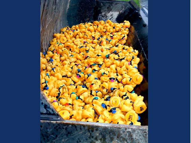Fulton Lions’ 36th Charby's Duck Derby Launches September 13