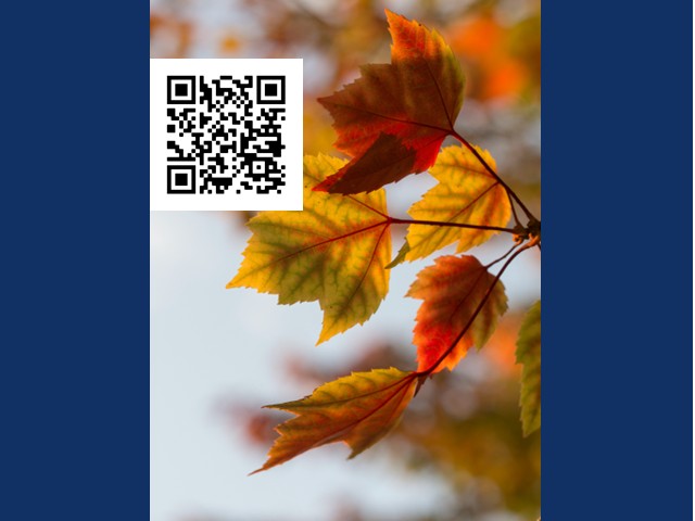 Signs of Fall to be Held at Amboy 4-H Environmental Education Center 