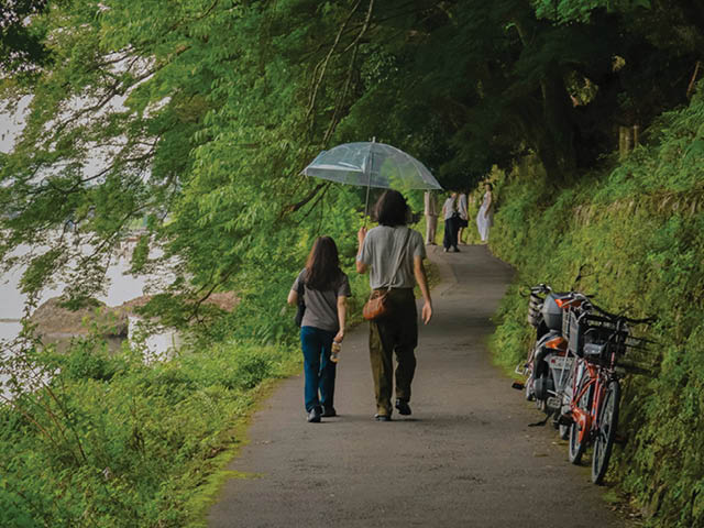 Poll: Demand for Parks and Greenways Is Outpacing Infrastructure