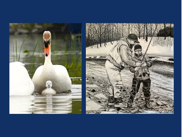 Artists: Final Call for Entries “Hooked on the Salmon River” Juried Show